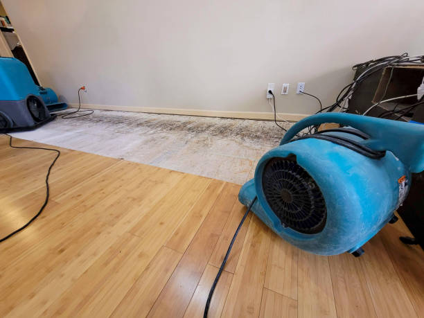 Professional Emergency Water Damage technician working in Rochert, MN
